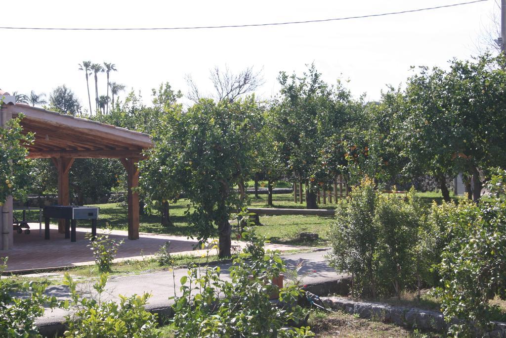 Agriturismo Galea Riposto ภายนอก รูปภาพ