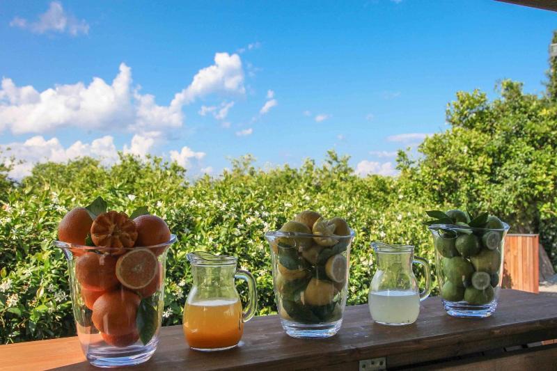 Agriturismo Galea Riposto ภายนอก รูปภาพ