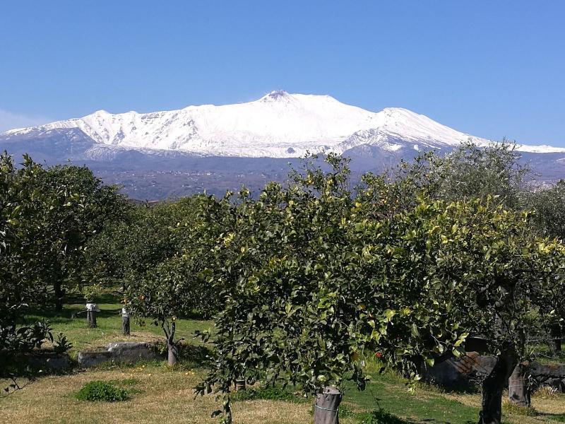 Agriturismo Galea Riposto ภายนอก รูปภาพ