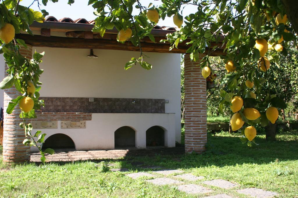 Agriturismo Galea Riposto ภายนอก รูปภาพ